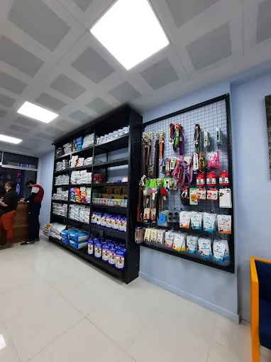 Ofis ve Ticari Alan Uygulamalarımız - Görsel 7